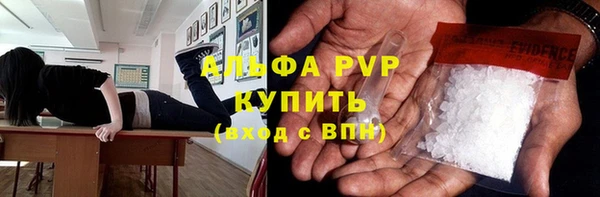 твердый Новозыбков