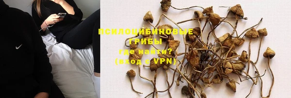 ALPHA PVP Новодвинск