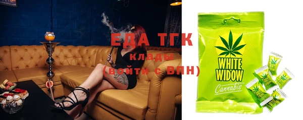 твердый Новозыбков