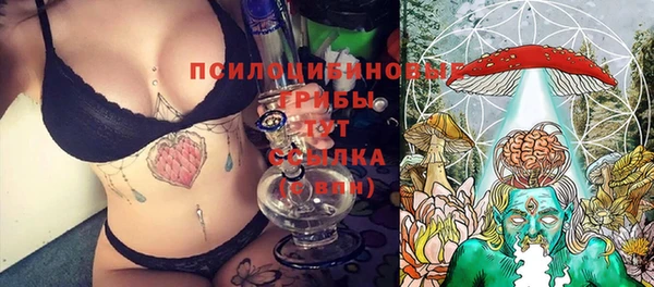 тгк Новокубанск
