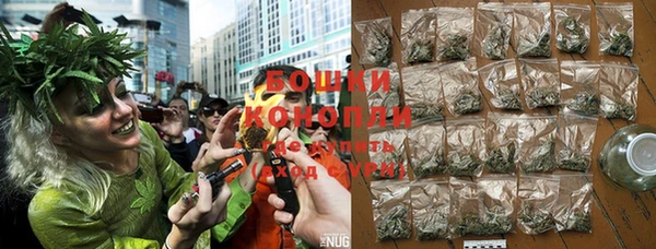 твердый Новозыбков