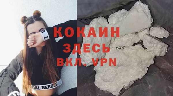 твердый Новозыбков