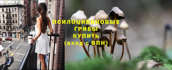ALPHA PVP Новодвинск