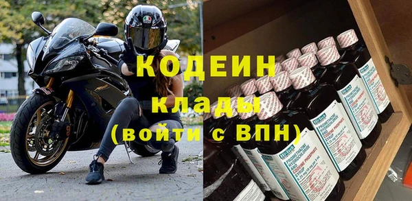 твердый Новозыбков