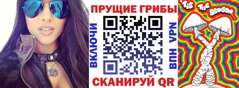 закладки  Юрюзань  Псилоцибиновые грибы мицелий 